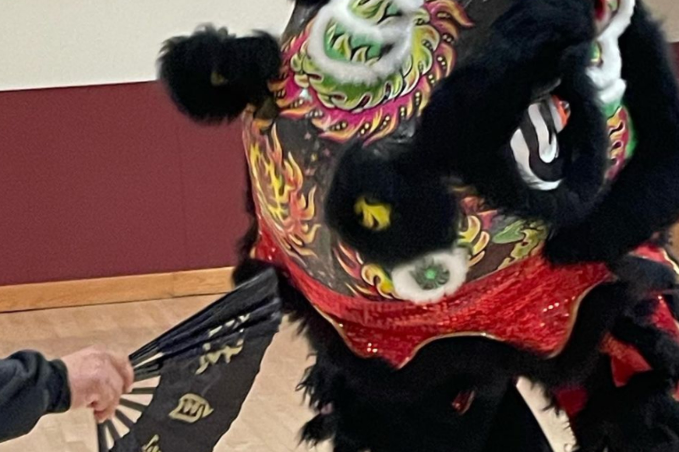 The image shows a close-up of a colorful and ornate lion dance costume being worn by a performer indoors, likely during a cultural event or practice. The lion costume features a prominently black base with intricate patterns, predominantly in red, green, yellow, and white. The head of the lion is adorned with fluffy black ears and vibrant eyes accented with green and white, surrounded by feathered elements. The mane and face are elaborately decorated with swirling designs, giving it a striking and dynamic appearance. Part of the performer’s arm holding a black fan with gold characters is visible on the left side of the image. The background consists of a red and white wall over a light wooden floor.